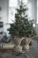 Ib Laursen kerstboompje