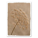 Mo-Ca kaart A5 in naturel tinten op canvas