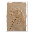 Een naturel Mo-Ca poster op canvas in A4-formaat met een rustige uitstraling.
