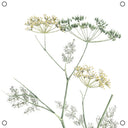Label-R tuinposter mini venkel in olijfgroen en wit
