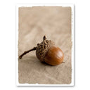 Mo-Ca canvas poster in A5 formaat met naturel kleurige print