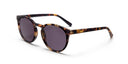 Looplabb zonneleesbril papillon- turtle