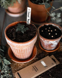 by Benson plantenlabel s/12