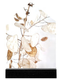 Decoratief Zoedt huisje met lunaria print in wit en taupe