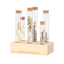 Decoratieve vurenhouten droogbloemen standaard maat L met zes glazen reageerbuisjes met kurk
