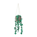 KidsDepot plant hedera gemaakt van grijs en groen vilt, hangend model