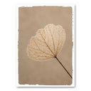Mo-Ca poster A5 in naturel tinten