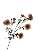 Kunsttak Daisy in de kleur Coffee met verfijnde bloemdetails