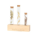 Decoratieve droogbloemen standaard van vurenhout met drie glazen reageerbuisjes voorzien van kurk.