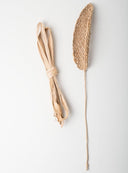 Urban Nature Culture decoratie tak