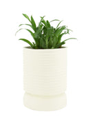 Zusss pot ribbel - creme