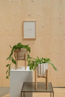 Zusss standaard hout