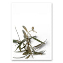 Mo-Ca canvas poster in A5 formaat met naturel kleuren