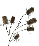 Kunsttak distel in de kleur coffee met bolvormige bloemen.